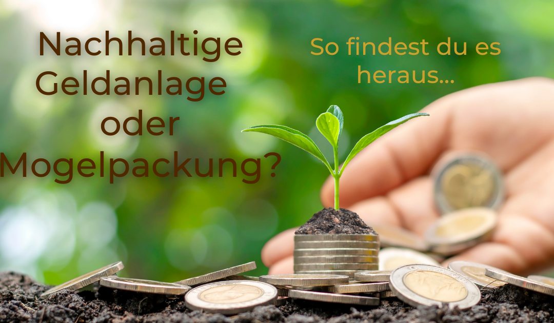 Nachhaltige Geldanlage oder Mogelpackung?